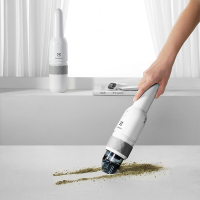 伊莱克斯 ZGB3010手持吸尘器