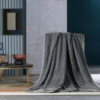 水星家纺抗菌毯—杜松180*200cm