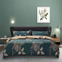 水星 BLISS印花四件套清影
