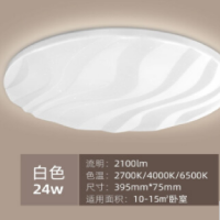 飞利浦 PHILIPS 吸顶灯 品纹36W