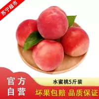 [顺丰直发]现摘水蜜桃 5斤装大果 新鲜桃子 应季水果 自营水果桃子