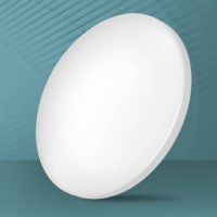 飞利浦 PHILIPS 吸顶灯 16W