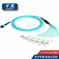 千天(QANTOP)光纤跳线OM3万兆多模40G光模块用集束光纤线1分12芯MPO-LC QT-GXTX476