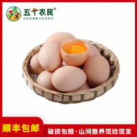 正宗农家散养土鸡蛋360枚装