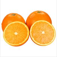 金健 橙子5千克