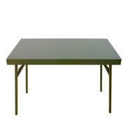 丛林狐 折叠作业钢桌 编写户外桌训练折叠桌椅多功能折叠桌 单桌