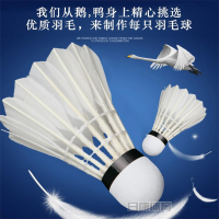 绿波尔 羽毛球/筒