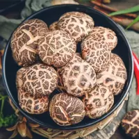 福建 野生 花菇 250g/包