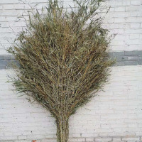 户外庭院用环卫扫把 加大加宽竹子 2把装