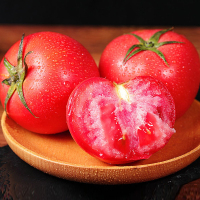 [西沛生鲜]山东新鲜普罗旺斯番茄西红柿 沙瓤番茄 农家新鲜 净重4.6-4.8斤装 精选 番茄