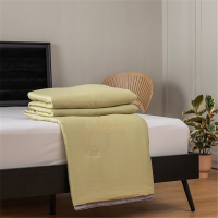 DP 苏宁宜品 春夏纯色山茶花天丝可水洗夏凉被 山茶花夏被 200*230cm 浅松绿