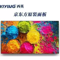 西英京东方原装55寸拼接屏 (个)