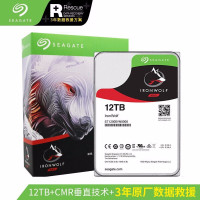 NAS硬盘 10TB 256MB 7200转 PMR CMR垂直技术 网络存储 SATA 希捷酷狼IronWolf