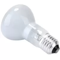 佛山照明 100W 烤箱专用灯(单位:个)
