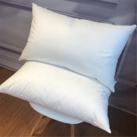 DP 苏宁宜品 全棉德国进口羽丝绒枕头五星睡眠可水洗枕 五星级酒店枕 高枕/白色