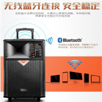 金正天雷 N81便携拉杆音响音箱 配双话筒