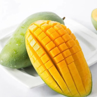 【鲜贝达生鲜】 西双版纳大青芒芒果9斤 单果500g+当季新鲜水果大芒果青皮（6-9个）大脸金煌芒