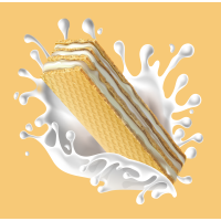 老先生食品(LaoXianShengFood) 威化饼干 200g