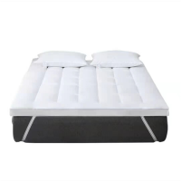 飞狮(FEI SHI)家用床上褥子1*1.9