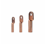 德力西(DELIXI) 镀锌 铜端子接线耳 铜鼻子 DT-95