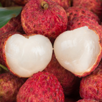 PAGODA 糯米糍荔枝5斤礼盒装