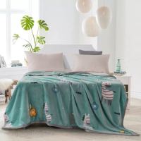 芳恩TH-T1022-1休闲时光貂绒毯