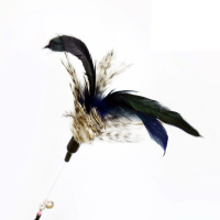 弹跳逗猫棒钢丝杆火鸡毛彩带逗猫棒芦花鸡羽毛纸絮猫玩具猫用品幼猫耐咬