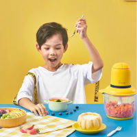 美的 捣蛋鬼LZ223D绞肉机搅拌机料理机