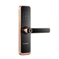 ICCSSI办公室公寓智能木门指纹锁