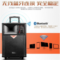 纽曼 金正天雷 N81便携拉杆音响音箱 配双话筒