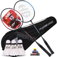 红双喜 DHS (WB1)羽毛球拍儿童体育用品时尚套装