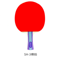 顶力(dingli) 2只装乒乓球拍双拍+6个球