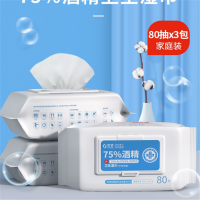 消毒湿巾 湿纸巾 卫生湿巾 杀菌酒精棉片