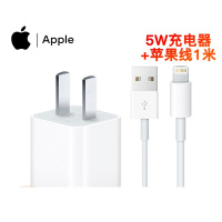 Apple 苹果数据线+头