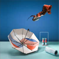 GIOVANNI VALENTINO 卓凡尼 华伦天奴 碟冉梦瑾芳华雨伞丝巾组合 GV0491YS