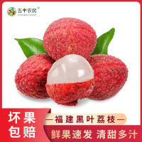 [五个农民]福建黑叶荔枝3斤装 (净重2.8斤) (冰袋+保温棉) 应季新鲜水果