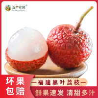 [五个农民]福建黑叶荔枝3斤装 (净重2.8斤) (冰袋+保温棉) 应季新鲜水果