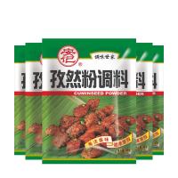 B2B-ZTE-安记孜然粉45g/包