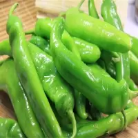 青椒/500g