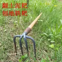 铁耙农用工具钢耙子抓钩钉耙三齿中号耙带1.2米木柄一套