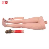 优模YOMO/J110-4四肢创伤模型上肢下肢创伤模型上下肢外伤止血模具止血包扎模拟人