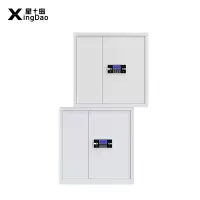 星岛保密柜文件柜双保险铁皮柜办公资料柜钢制防盗柜电子密码锁档案柜分体柜电子锁双抽