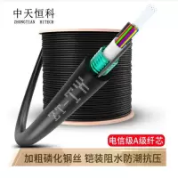 中天恒科 GYXTW室外单模光缆8芯1米 中心束管式铠装光纤线 电信级工程用架空/管道/地埋光缆网线ZT-GYXTW-8