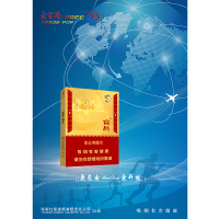 定制宣传单(宝岛中支)