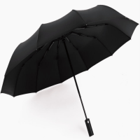 HBS-005 12骨全自动晴雨伞