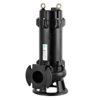 切割式污水泵220V家用潜水泵大流量排污泵2.2KW 2寸( 220V )