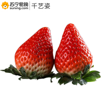 千艺资 草莓 新鲜多汁 约500克/盒