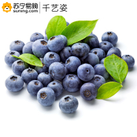 千艺资 蓝莓约500克/盒