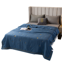 星月天丝棉精绣被 FN-B6035