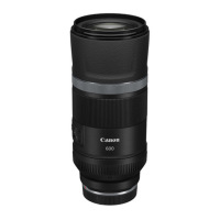 佳能（Canon）RF600mm F11 IS STM 超远摄定焦镜头 微单镜头